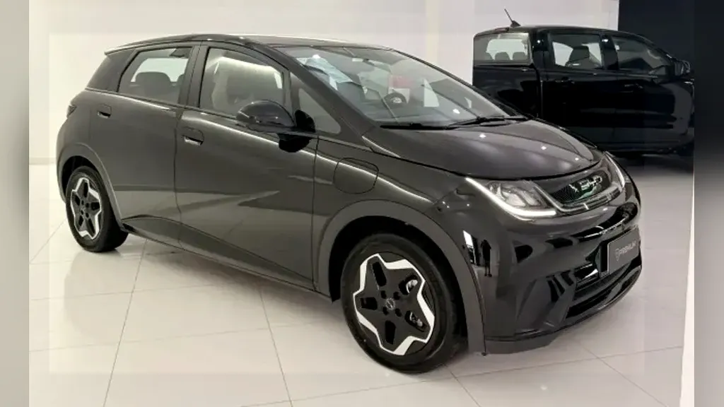 Foto de um byd dolphin
