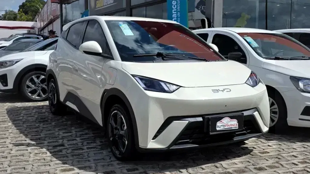 Foto de um byd dolphin