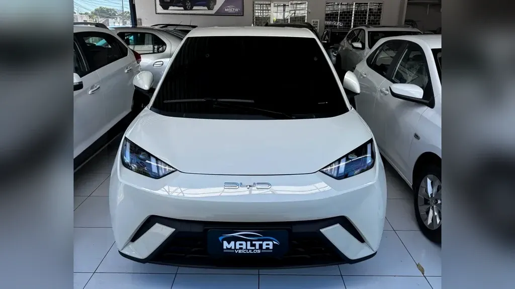 Foto de um byd dolphin mini