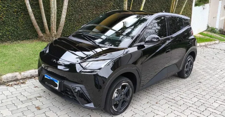 Foto de um byd dolphin