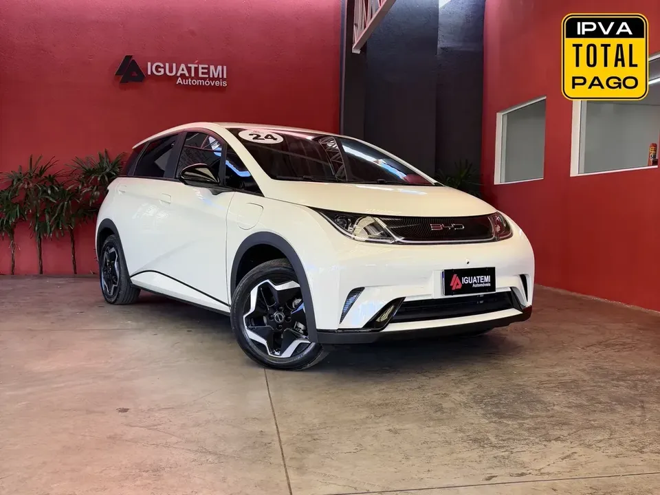 Foto de um byd dolphin