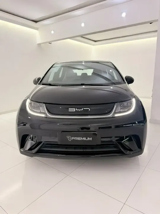 Foto de um byd dolphin