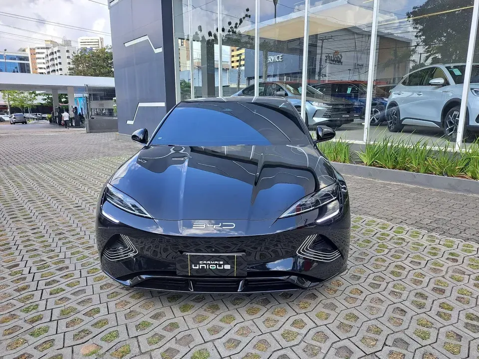 Foto de um byd seal