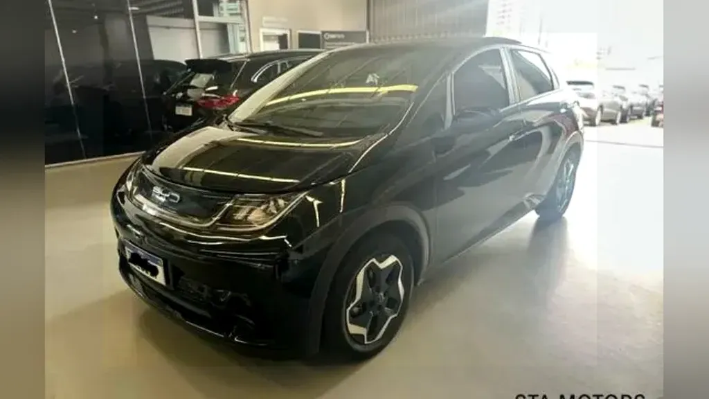 Foto de um byd dolphin