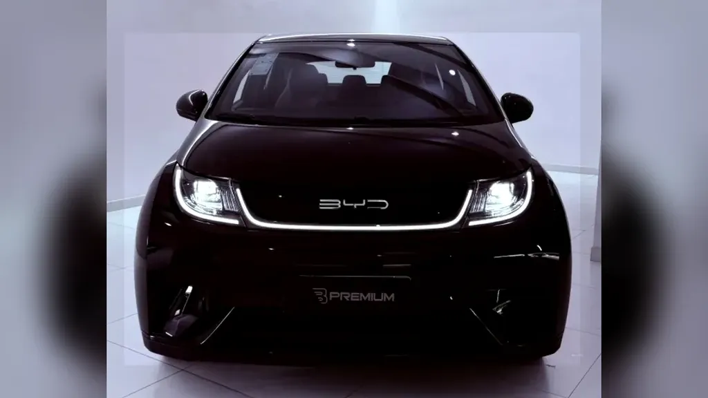 Foto de um byd dolphin