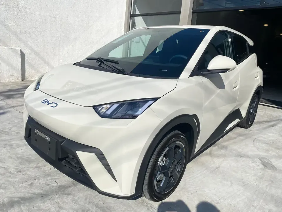 Foto de um byd dolphin mini