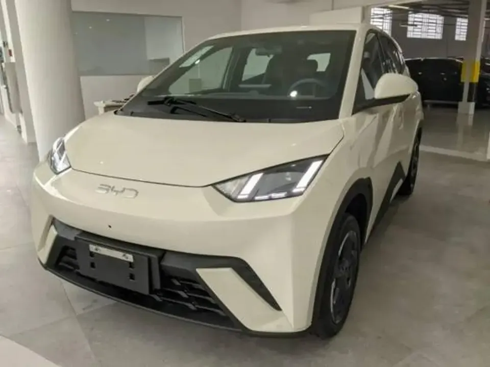 Foto de um byd dolphin mini