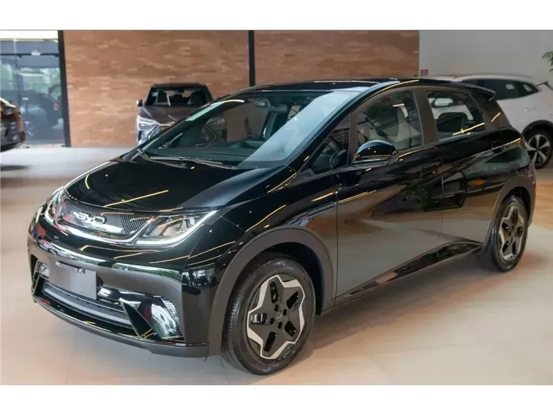 Foto de um byd dolphin