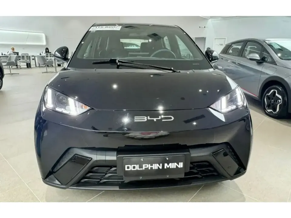 Foto de um byd dolphin mini