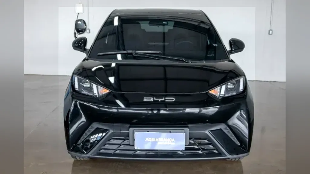 Foto de um byd dolphin mini