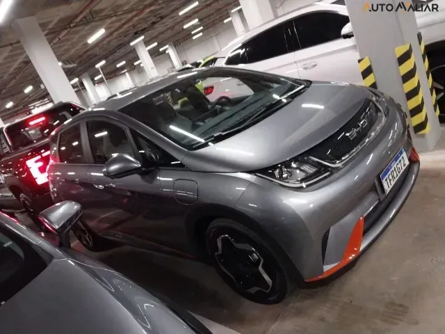 Foto de um byd dolphin