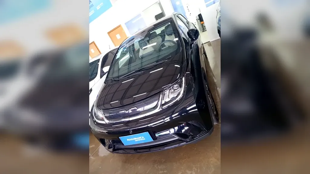 Foto de um byd dolphin