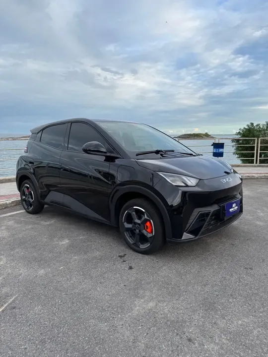 Foto de um byd dolphin mini