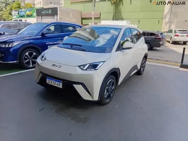 Foto de um byd dolphin mini