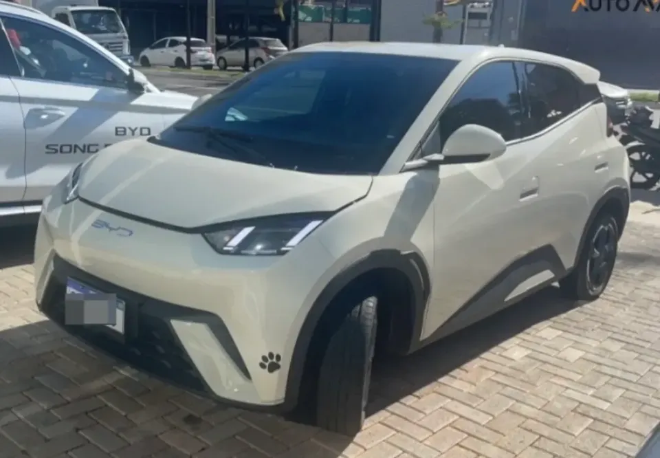 Foto de um byd dolphin mini