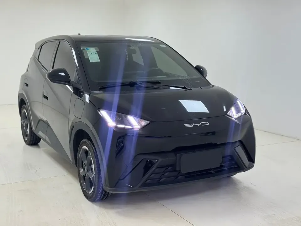 Foto de um byd dolphin mini