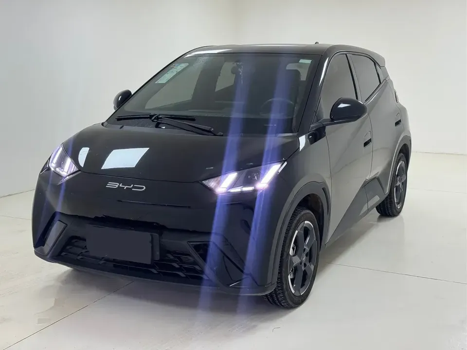Foto de um byd dolphin mini