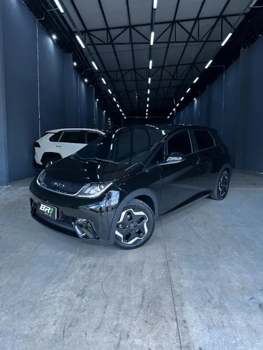 Foto de um byd dolphin