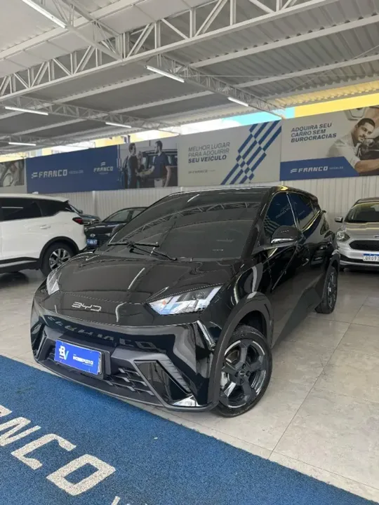 Foto de um byd dolphin mini