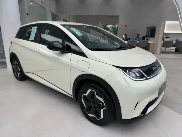 Foto de um byd dolphin