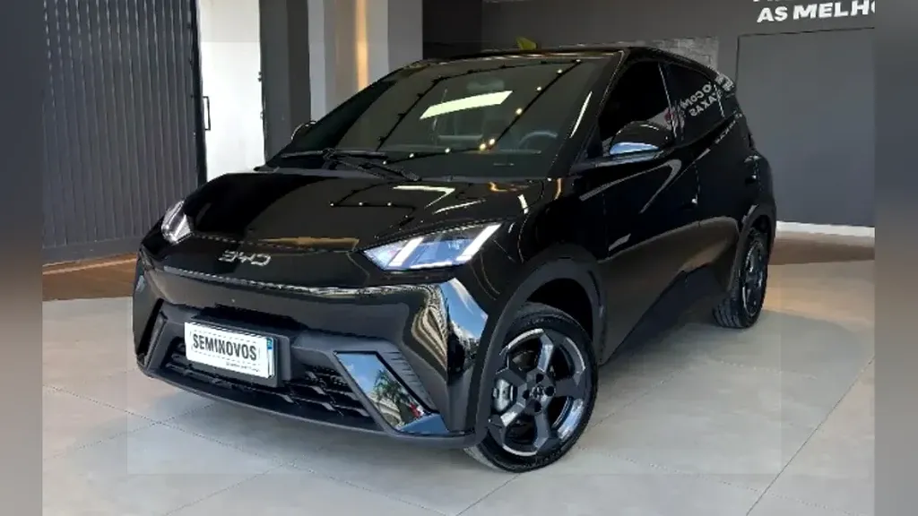 Foto de um byd dolphin mini