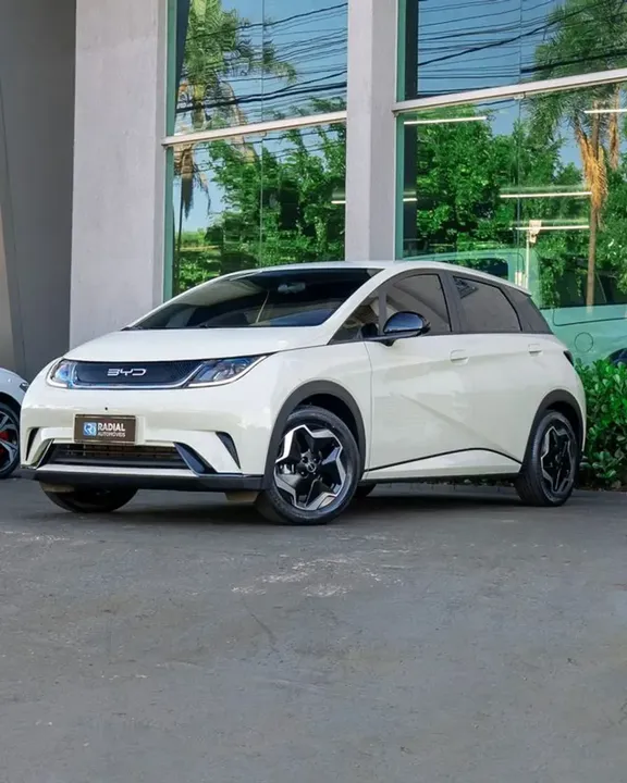 Foto de um byd dolphin