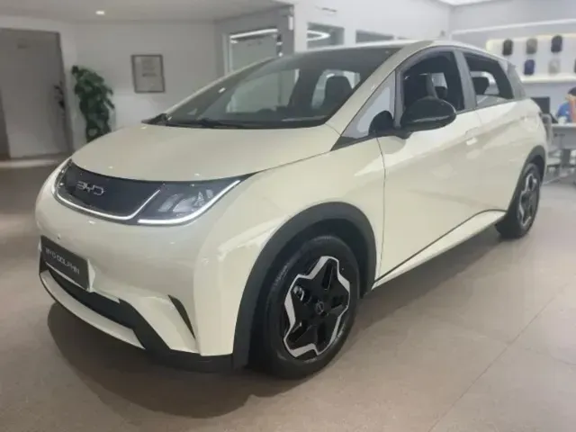 Foto de um byd dolphin