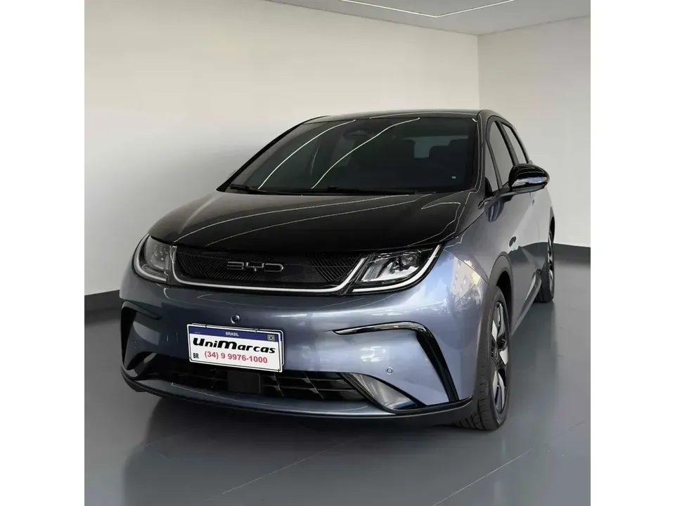 Foto de um byd dolphin