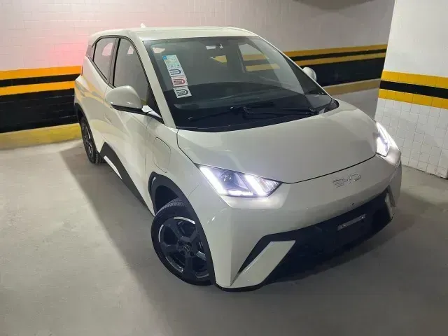 Foto de um byd dolphin mini