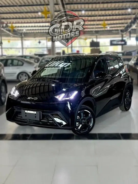 Foto de um byd dolphin mini