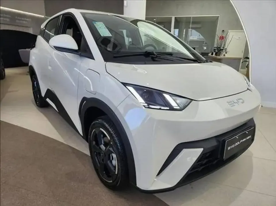 Foto de um byd dolphin mini