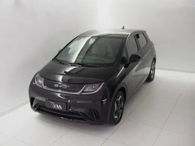 Foto de um byd dolphin