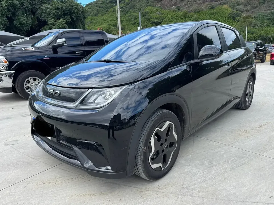 Foto de um byd dolphin
