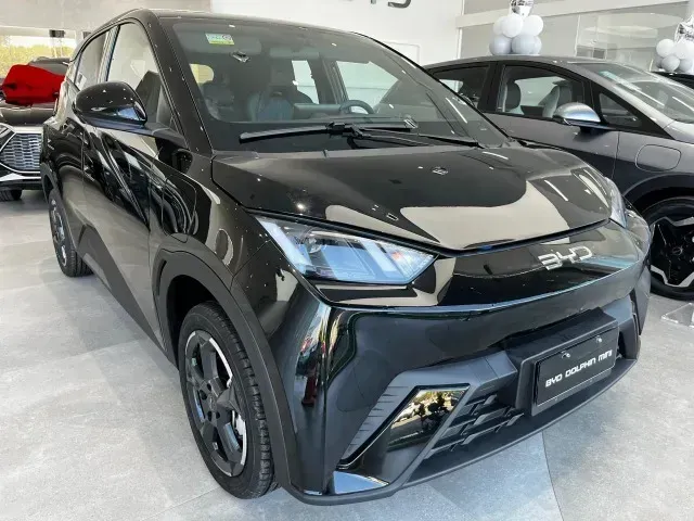 Foto de um byd dolphin mini