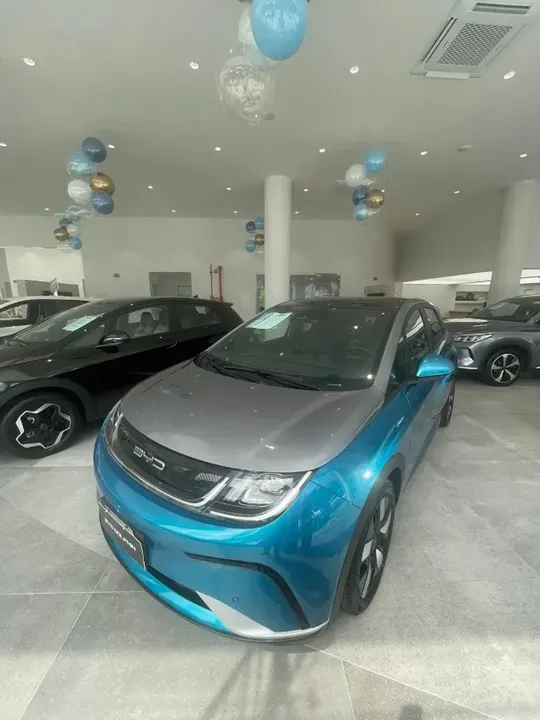 Foto de um byd dolphin plus