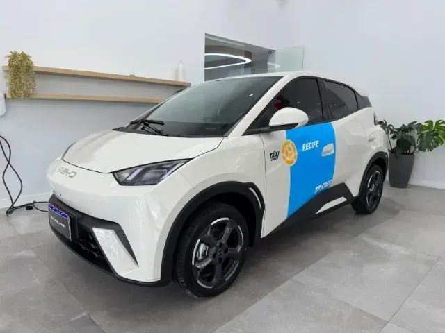 Foto de um byd dolphin mini