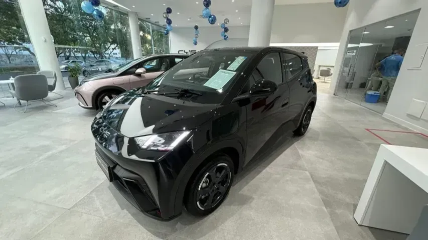 Foto de um byd dolphin mini