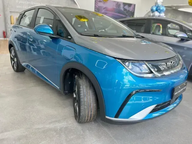 Foto de um byd dolphin plus