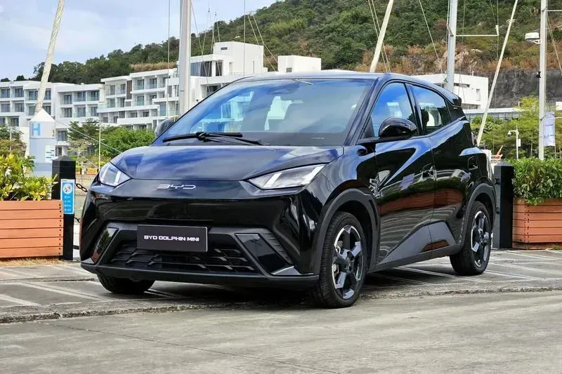 Foto de um byd dolphin mini