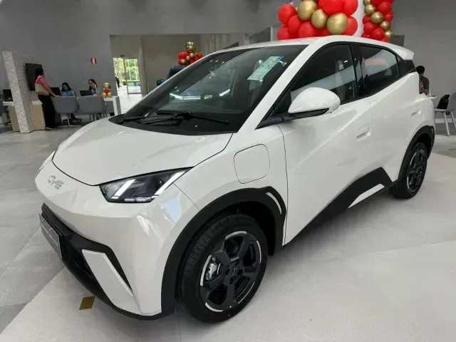 Foto de um byd dolphin mini