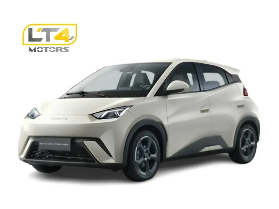 Foto de um byd dolphin mini
