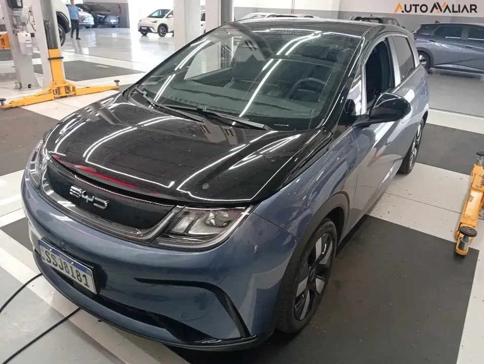 Foto de um byd dolphin plus