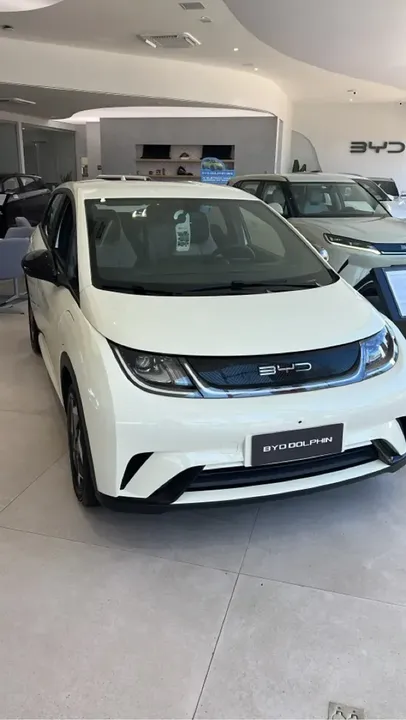 Foto de um byd dolphin