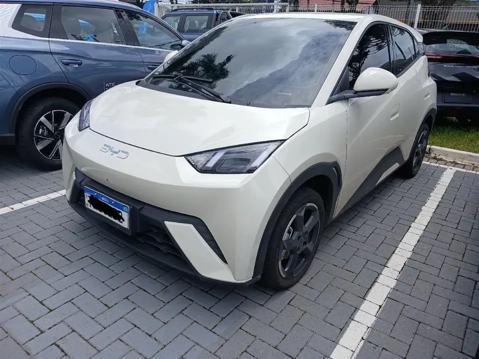 Foto de um byd dolphin mini