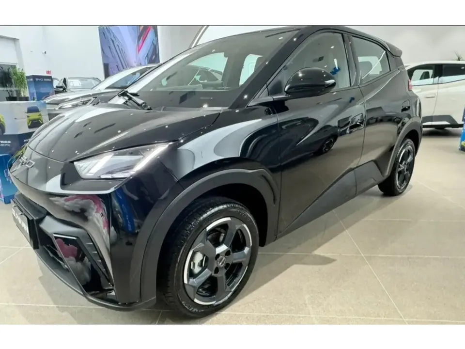 Foto de um byd dolphin mini