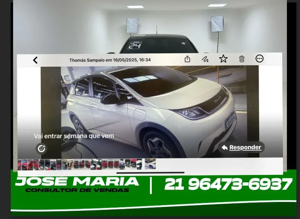 Foto de um byd dolphin
