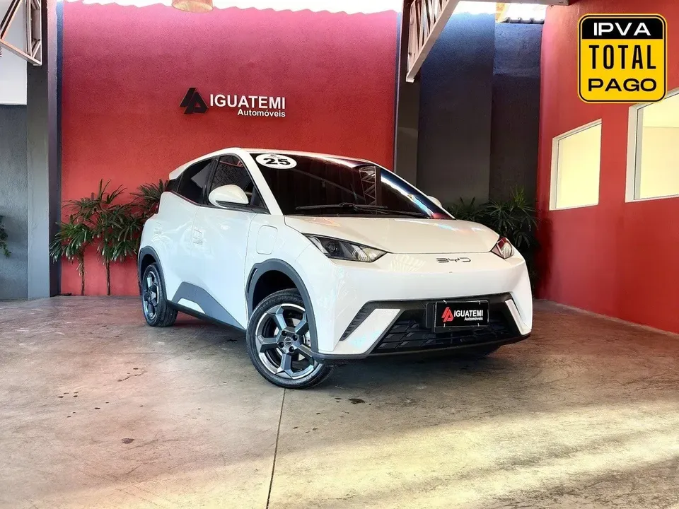 Foto de um byd dolphin