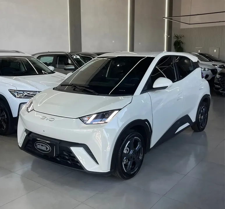 Foto de um byd dolphin