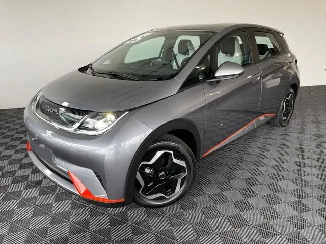 Foto de um byd dolphin