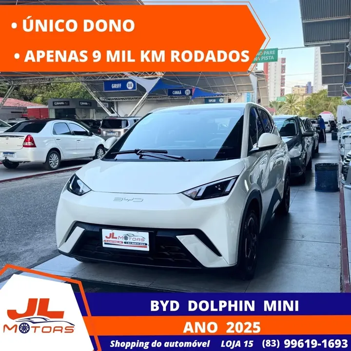 Foto de um byd dolphin mini